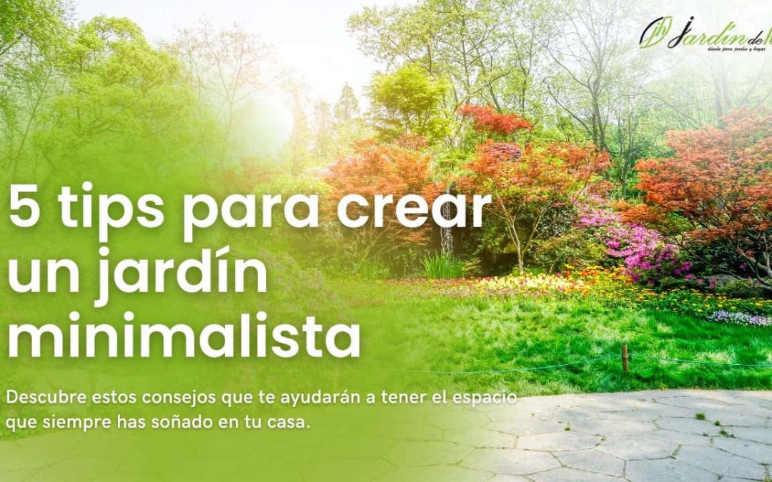 Jardín minimalista: guía completa para diseñarlo con elegancia
