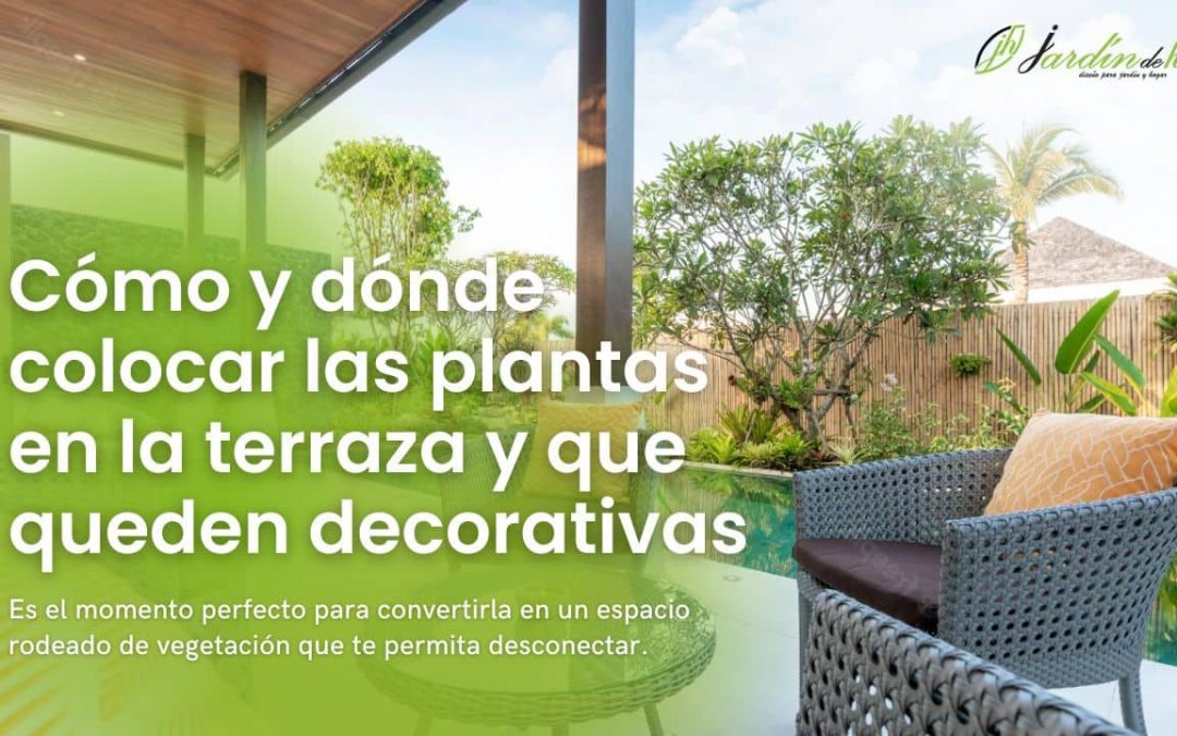 Cómo y dónde colocar las plantas en la terraza y que queden decorativas