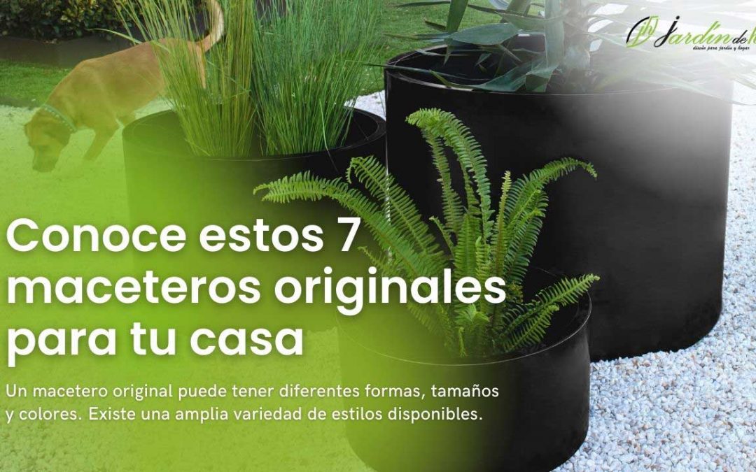 Conoce estos 7 maceteros originales para tu casa