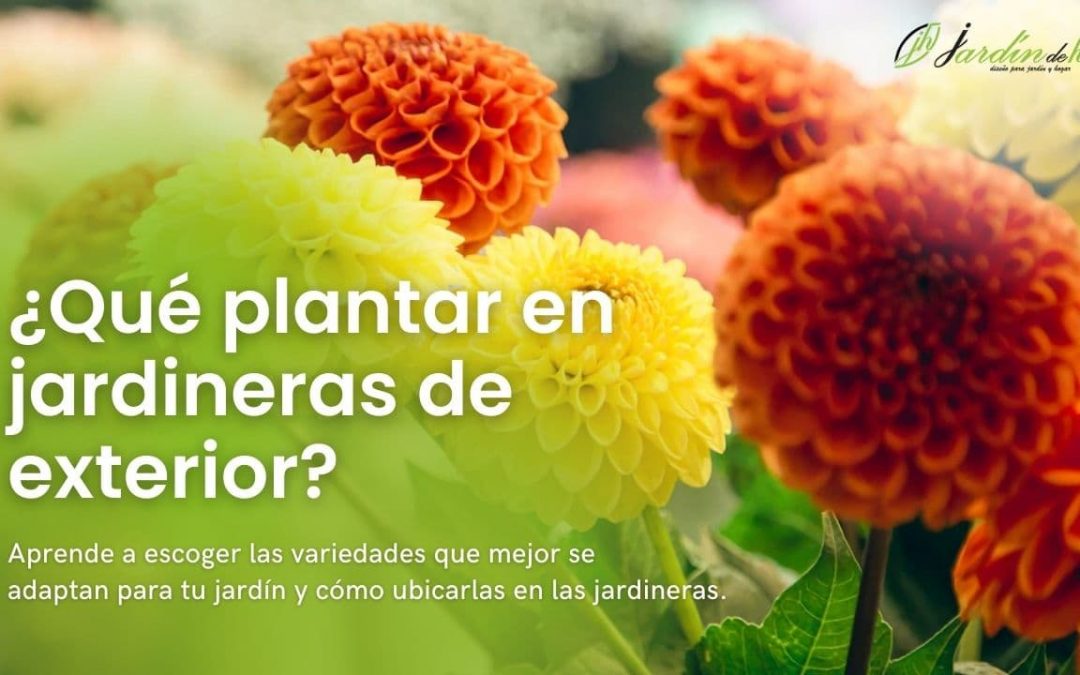 ¿Qué plantar en jardineras de exterior?