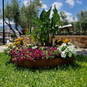Diameter Curved Corten Steel Edging