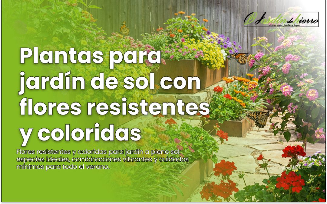 Plantas para jardín de sol con flores resistentes y coloridas