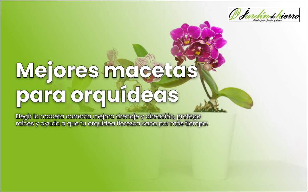 Mejores macetas para orquídeas