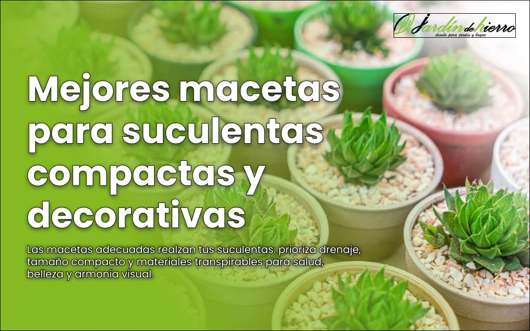 Mejores macetas para suculentas compactas y decorativas